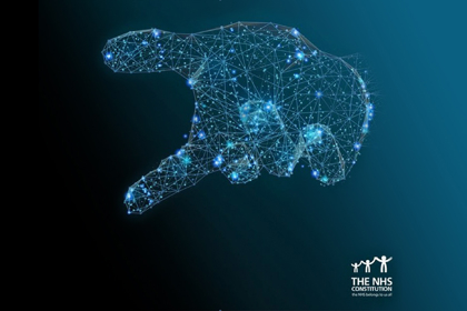 The Nhs Constitution