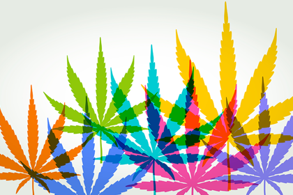 Cannabis Clinic for Patients with Psychosis – Online