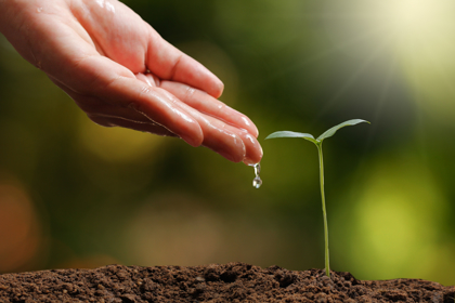 Adobestock 293572930